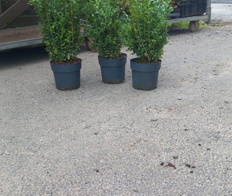 34fe72b5-7e11-4cda-9cd0-0b86d8c725ce