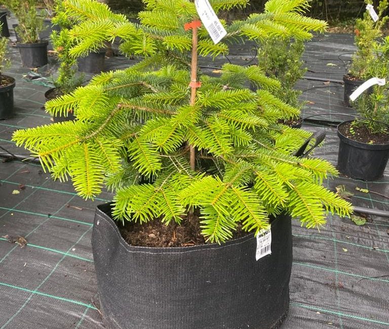 8a103d01-d555-4ee4-b8f2-24b3141c378c