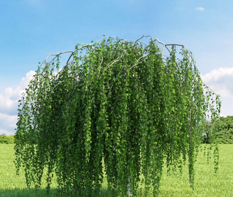 8f5447fc4582f20b488d4073d3122803