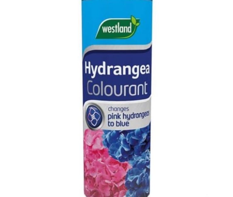 Hydrangea-colourant