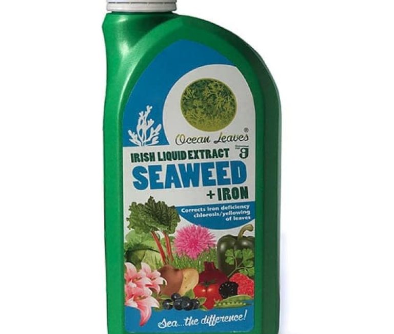 Screenshot-2023-03-02-at-09.21.27