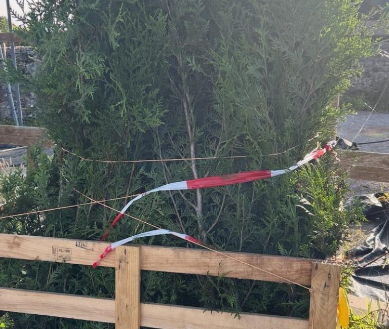 WhatsApp-Image-2025-08-03-at-19.54.55_aa444311