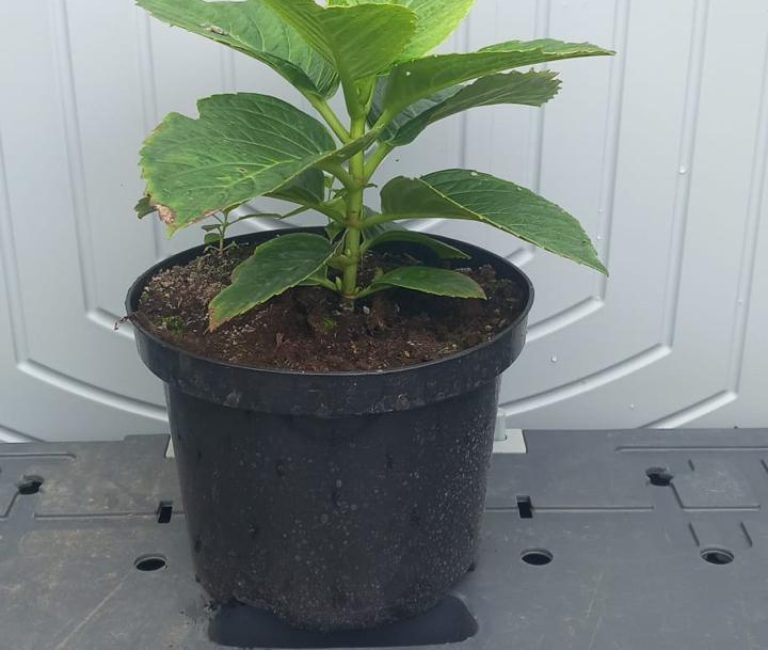 WhatsApp-Image-2025-08-23-at-14.03.14_7ce9e2e9