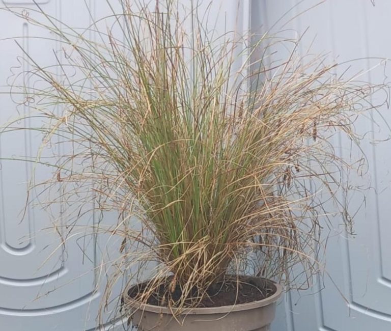 WhatsApp-Image-2025-08-25-at-12.18.29_184af6c0