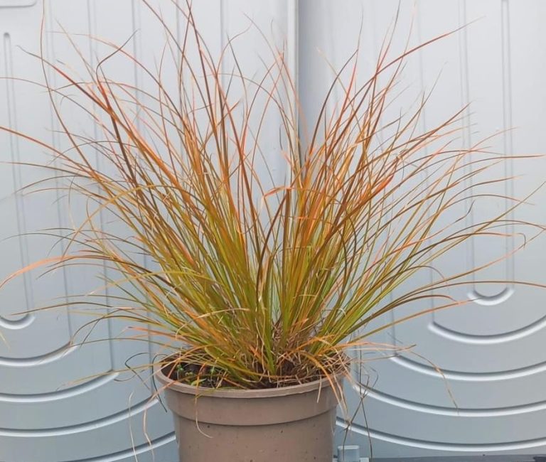 WhatsApp-Image-2025-08-25-at-12.32.02_062f0da0