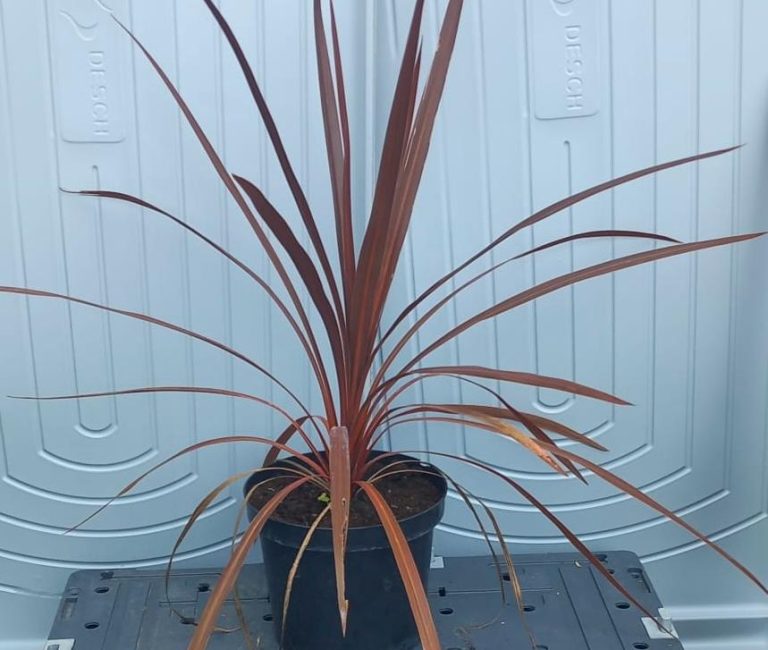 b899d404-64d7-490c-b8ba-a2a86e47b9ff