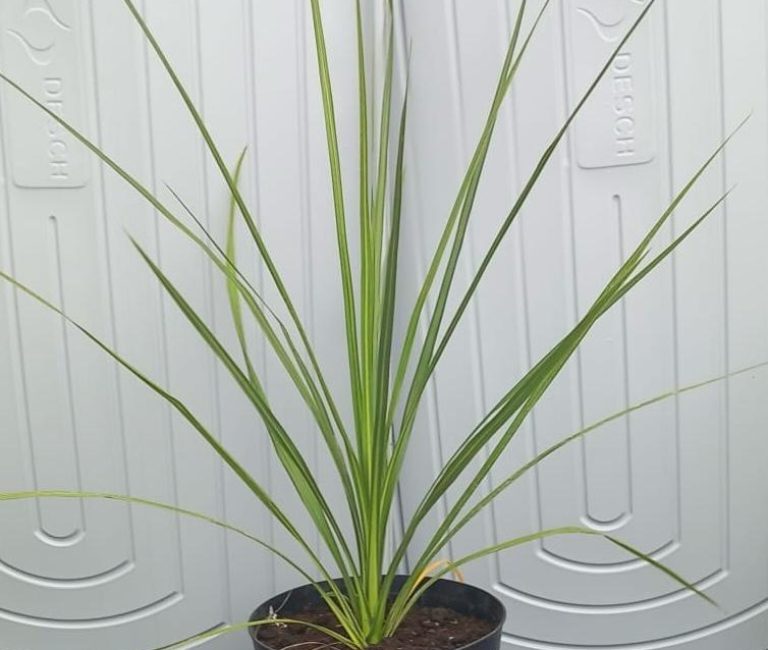 e8e80b3f-a49d-475b-93b7-decb253103c1