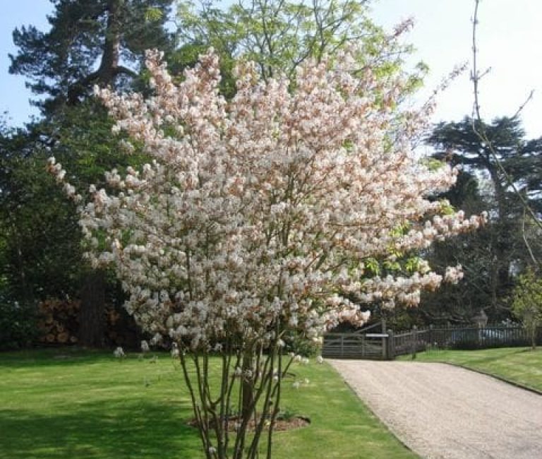 image_bce35221-cbe5-4bde-bd09-69b7e21e6cd8